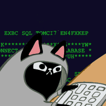 hacker-cat